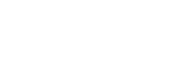 logo gemini.png