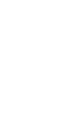 elementos (1)