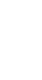 elementos